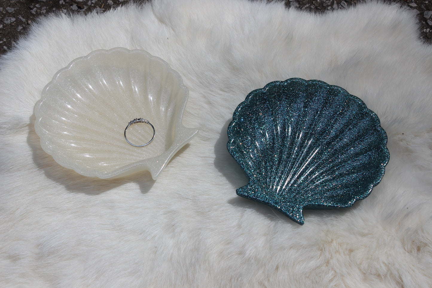 Shell Dish